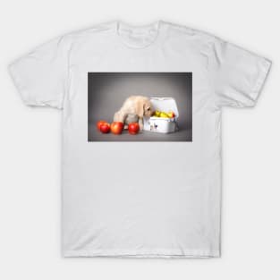 Labrador retriever puppy T-Shirt